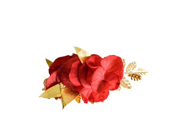 hortensias rouges et or