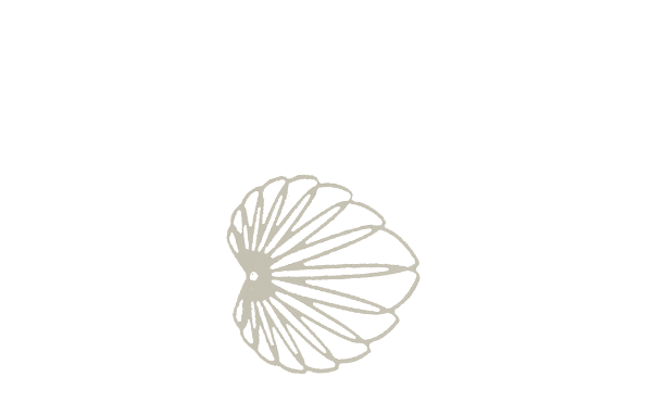 palmier 