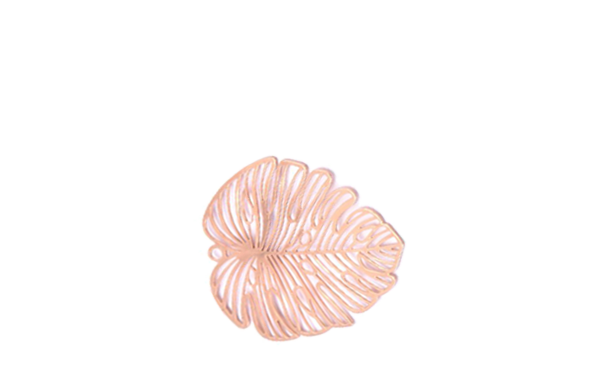 feuille de palmier