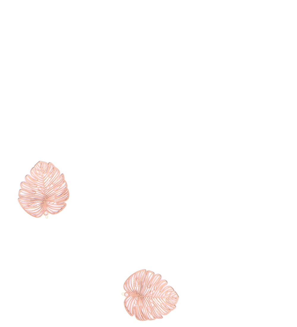 Feuilles de palmier