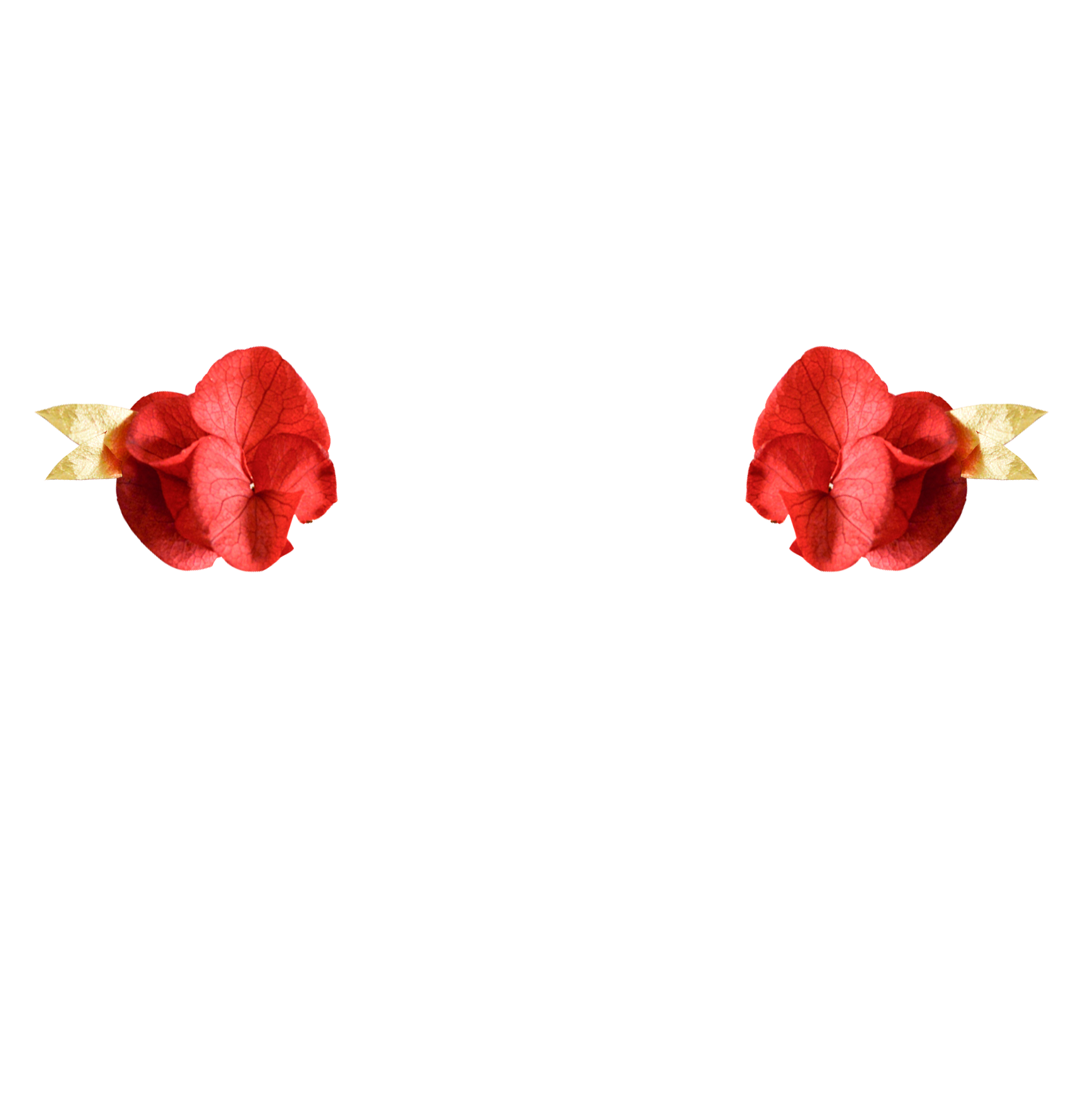 eucalyptus DORE + hortensias ROUGE