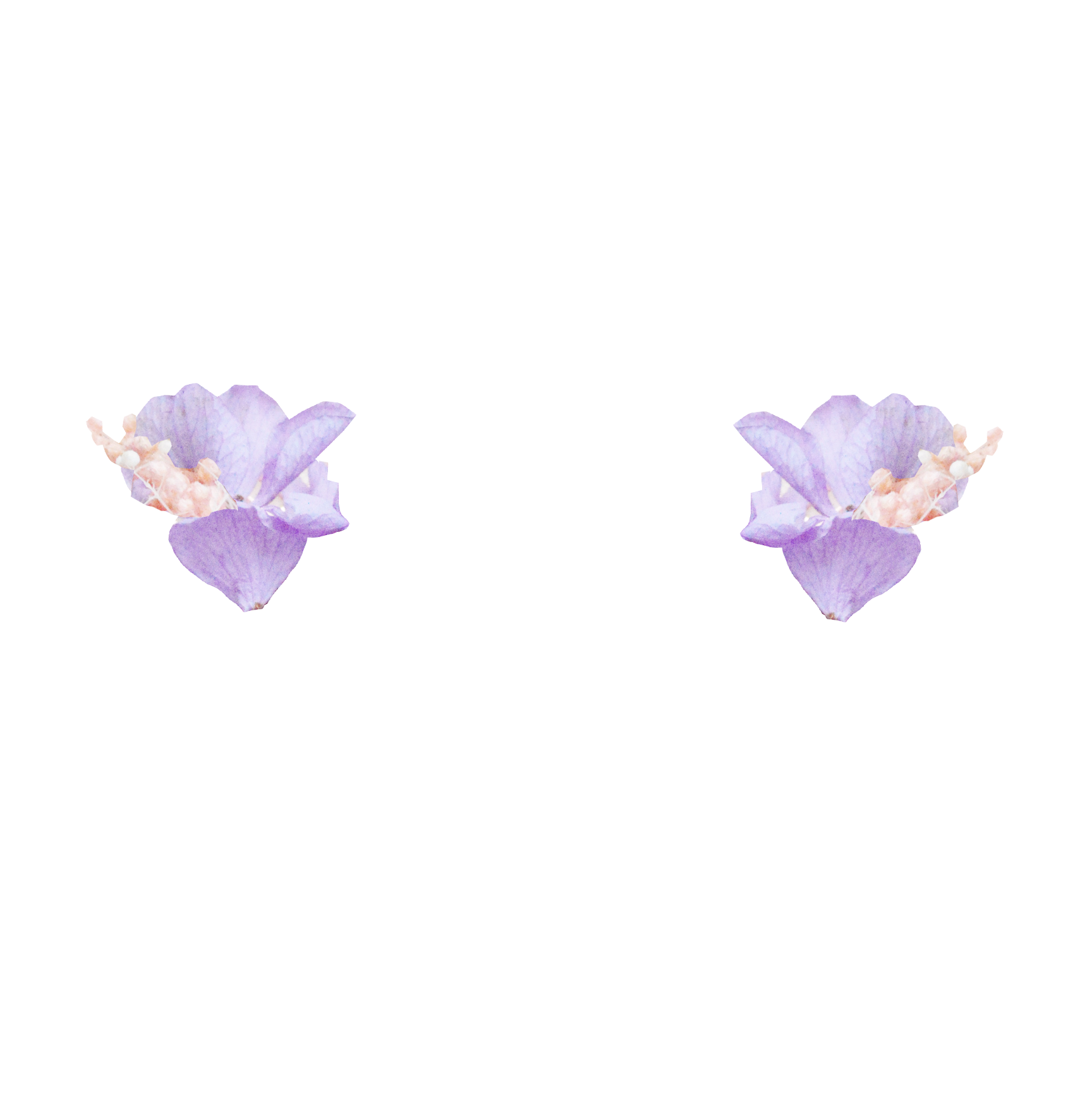 fleurs violettes et gypsophile rose