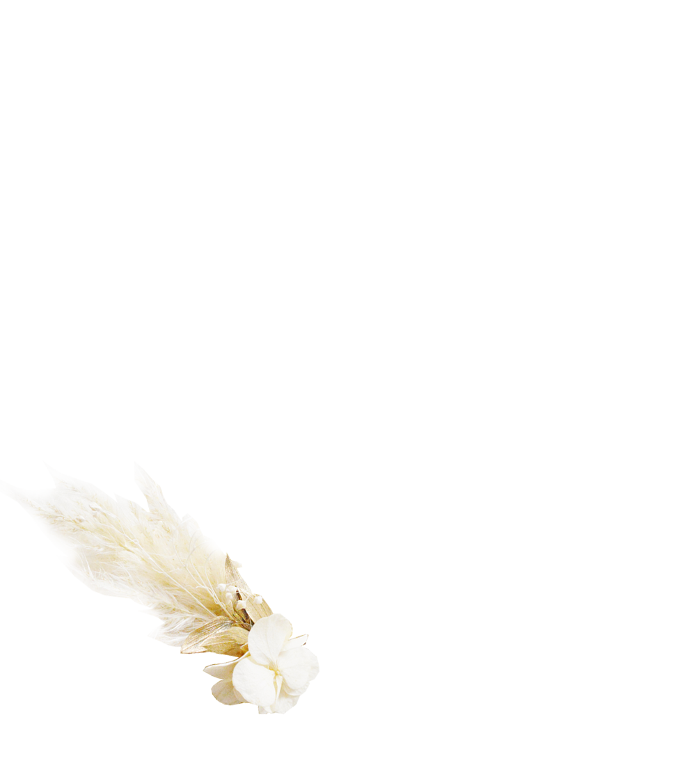 pampa et hortensia doré