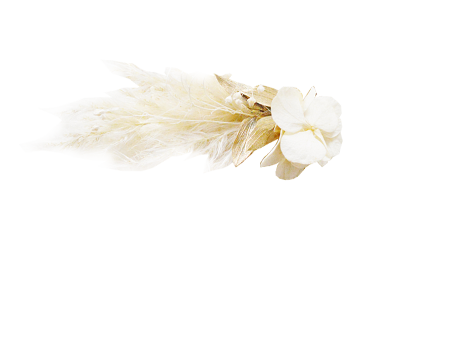pampa et hortensia doré