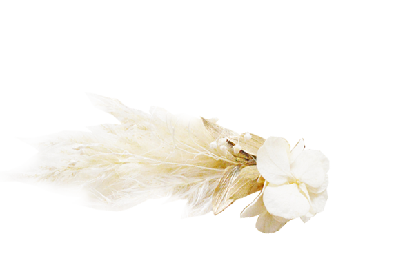 pampa et hortensia doré