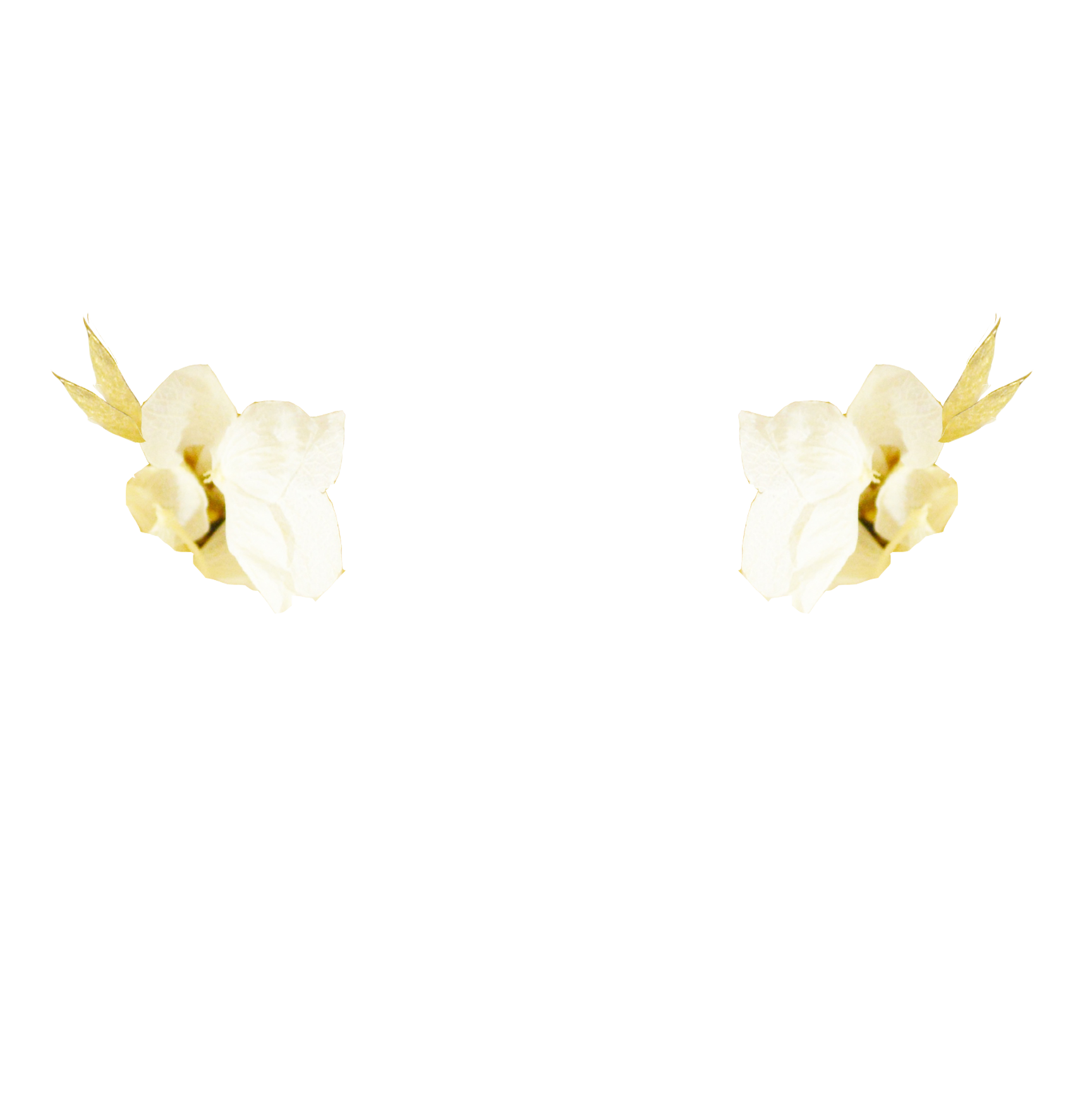 eucalyptus DORE + hortensias IVOIRE