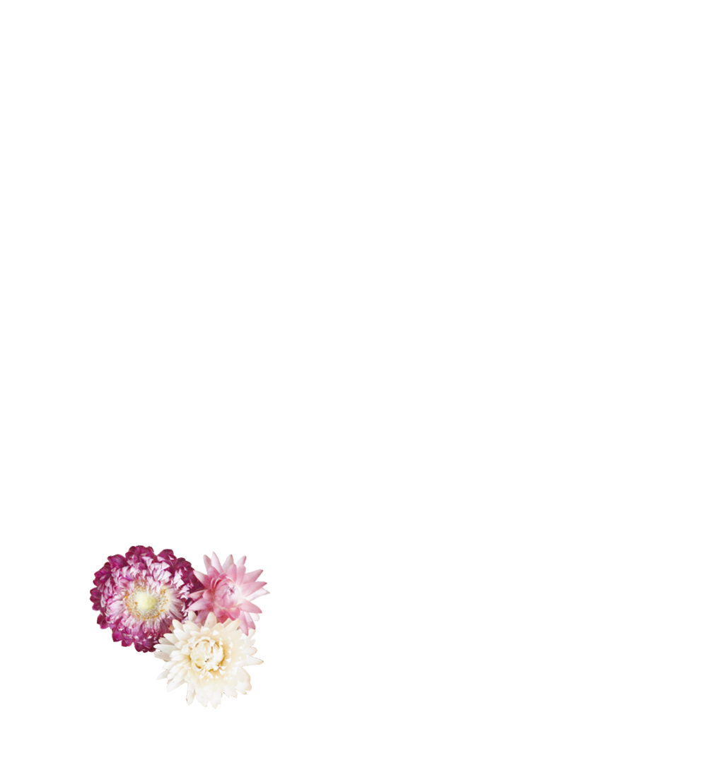 fleurs séchées
