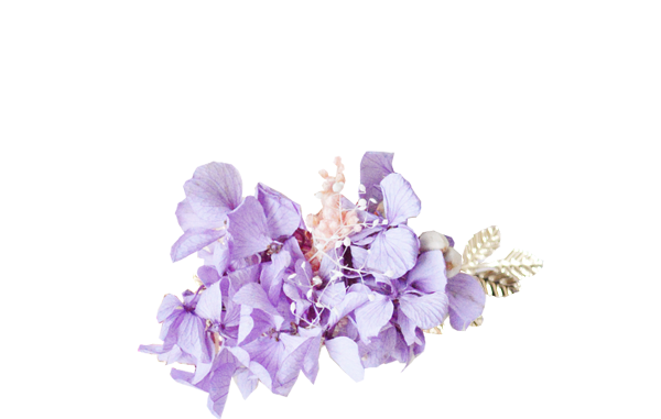 hortensias stabilisées violettes ARGENT