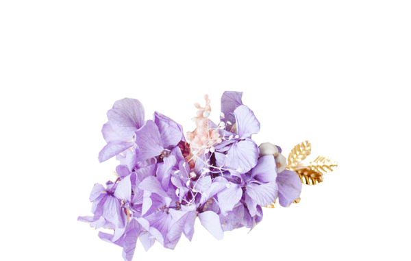 hortensias stabilisées violettes DORE