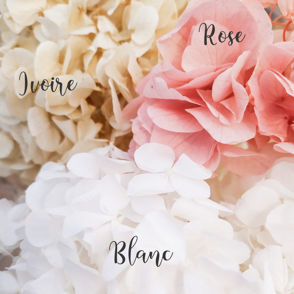 Bracelet mariage fleurs fraîches éternelles et perles – diverses coloris –  Mes tites lilis