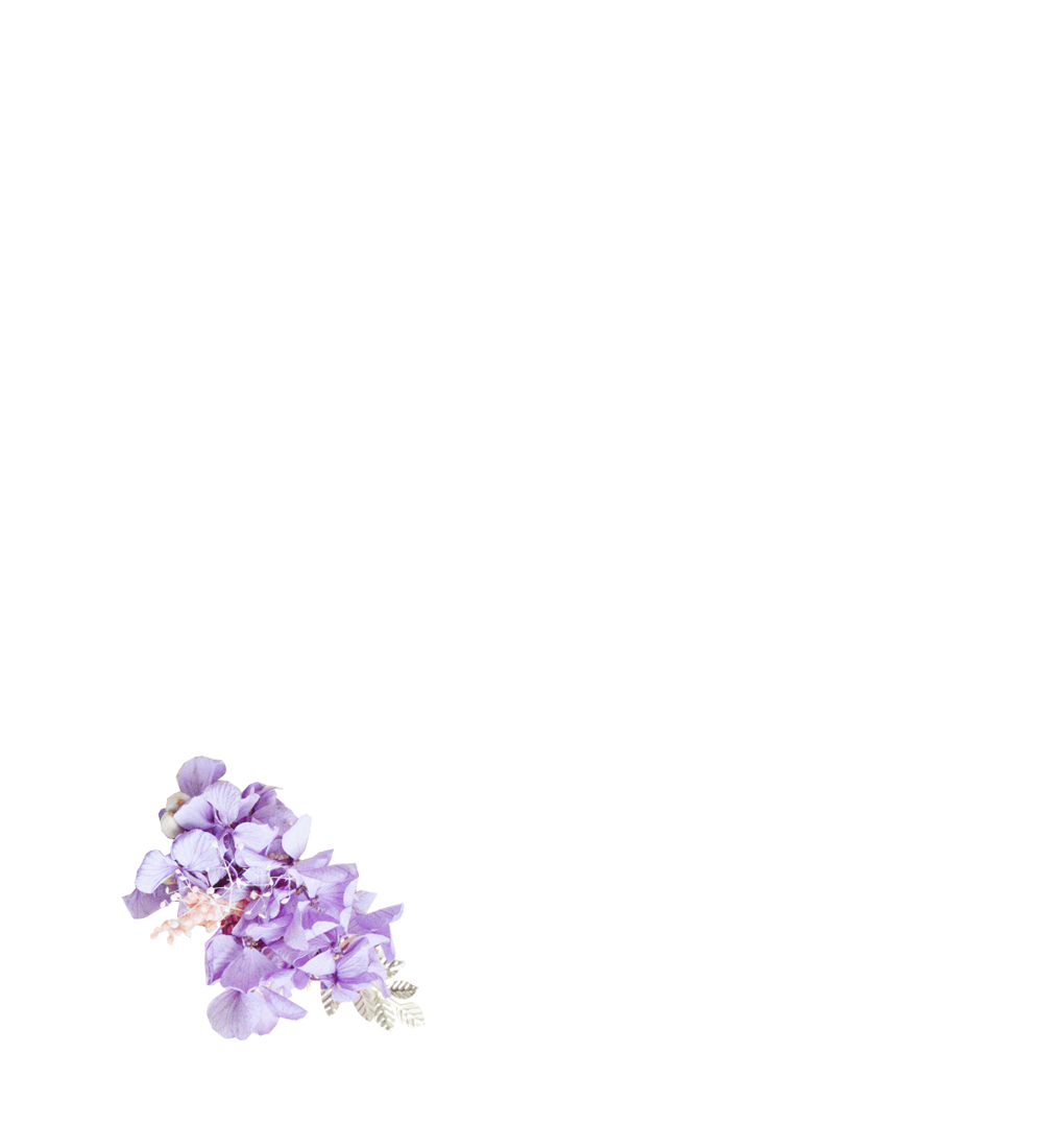 hortensias stabilisée violettes et gypsophile rose