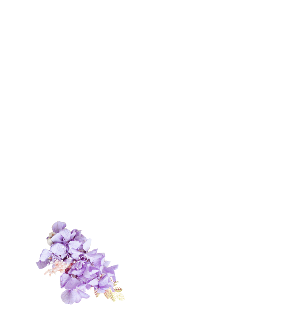 hortensias stabilisés violets et gupsophile rose