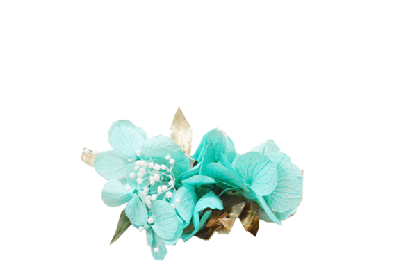 hortensia turquoise