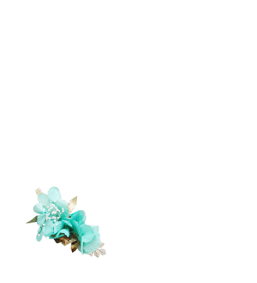 hortensia turquoise