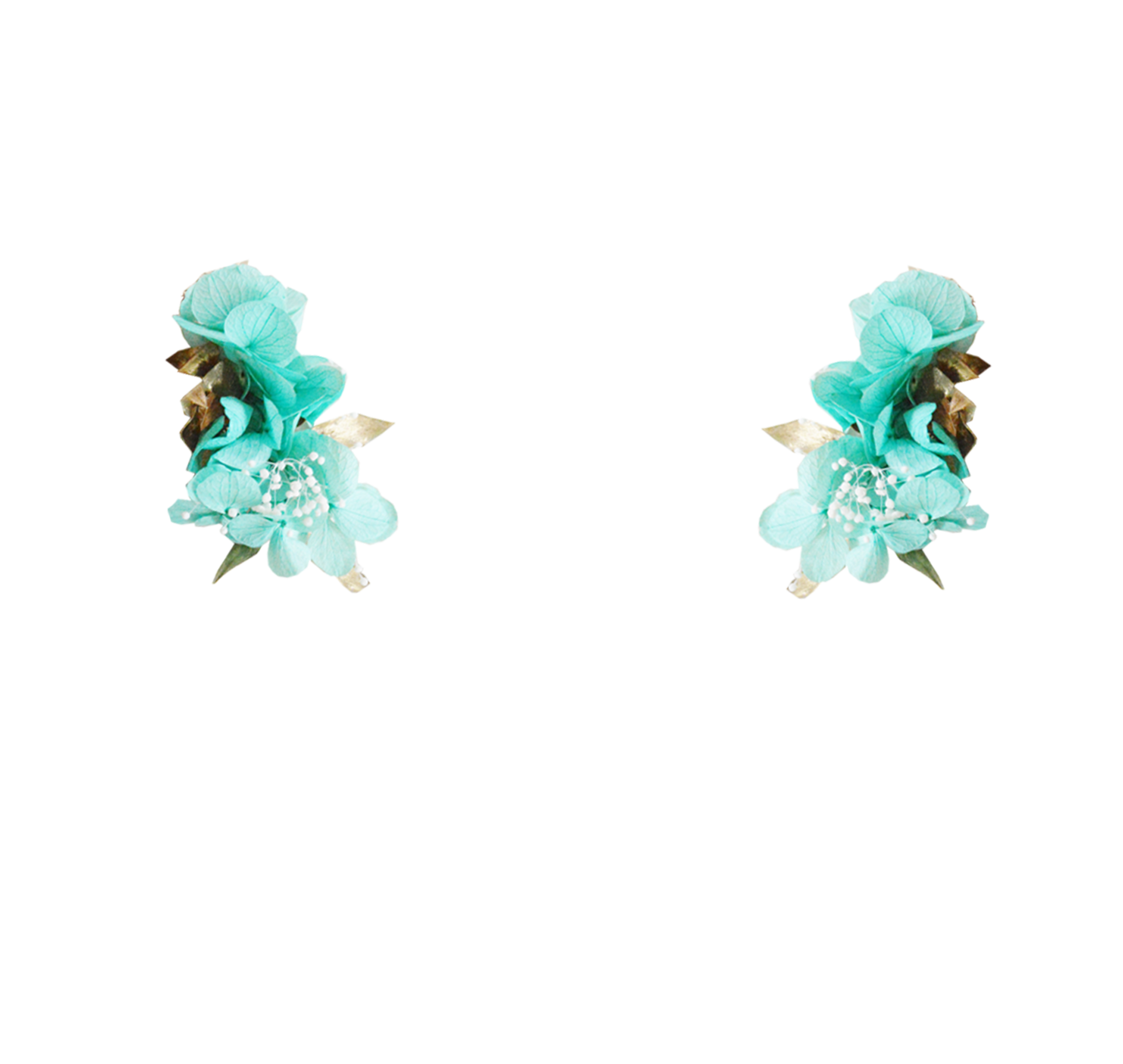 hortensia turquoise