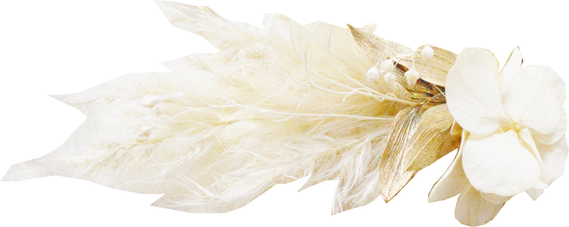 pampa et hortensia doré
